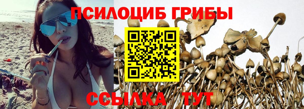Южно-Сахалинск  Галлюциногенные грибы мухоморы  Псилоцибиновые грибы Psilocybe  Вход с VPN 